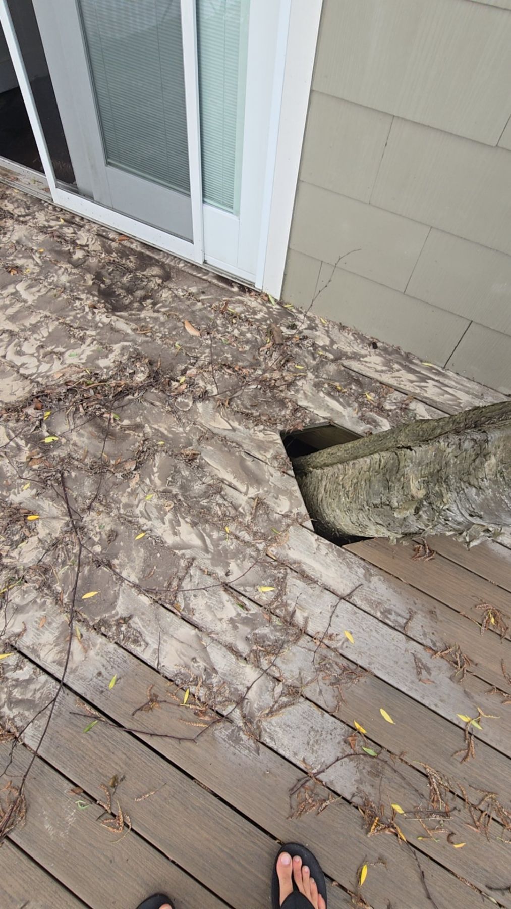 Water Damage Restoration