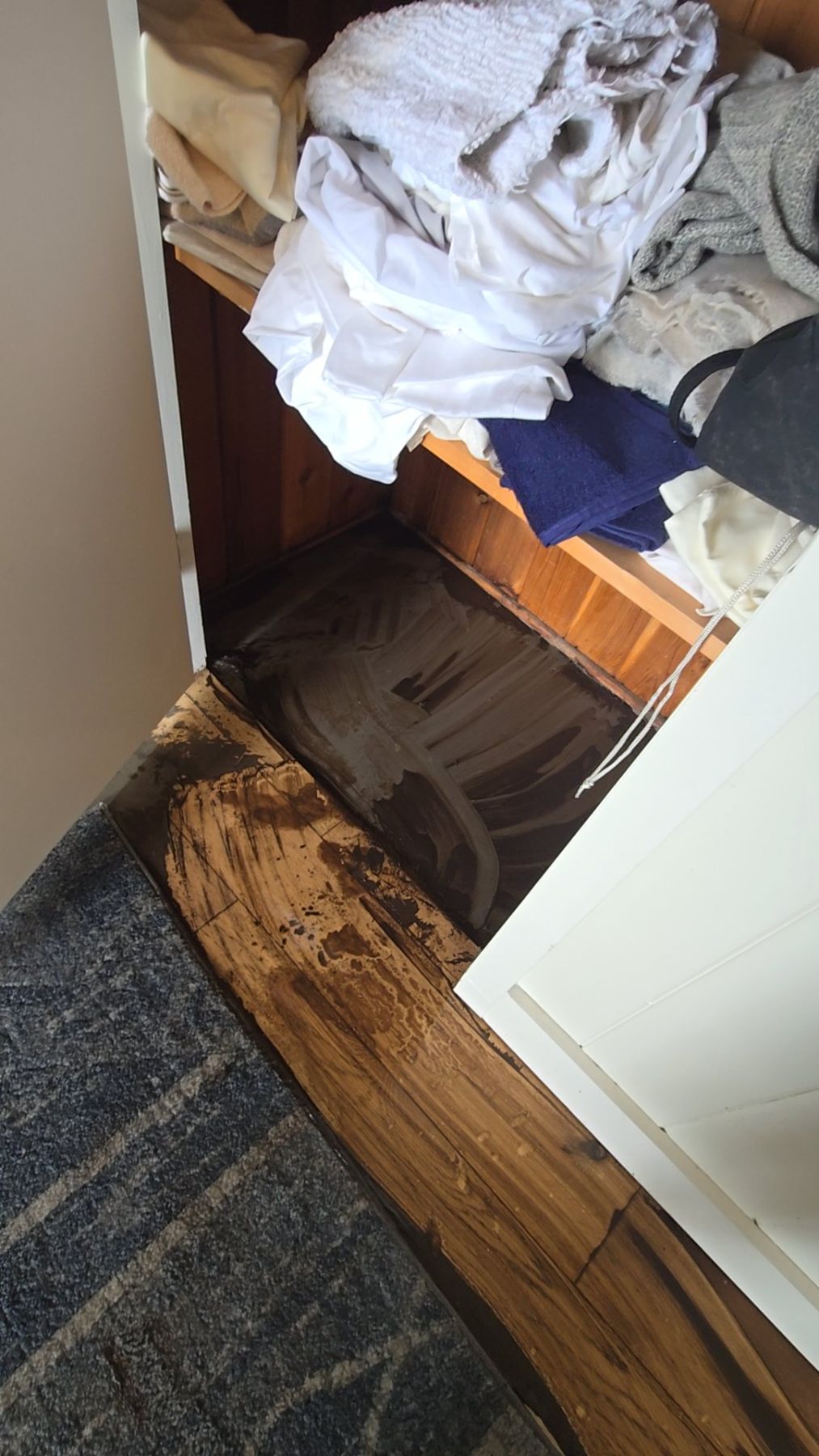 Water Damage Restoration