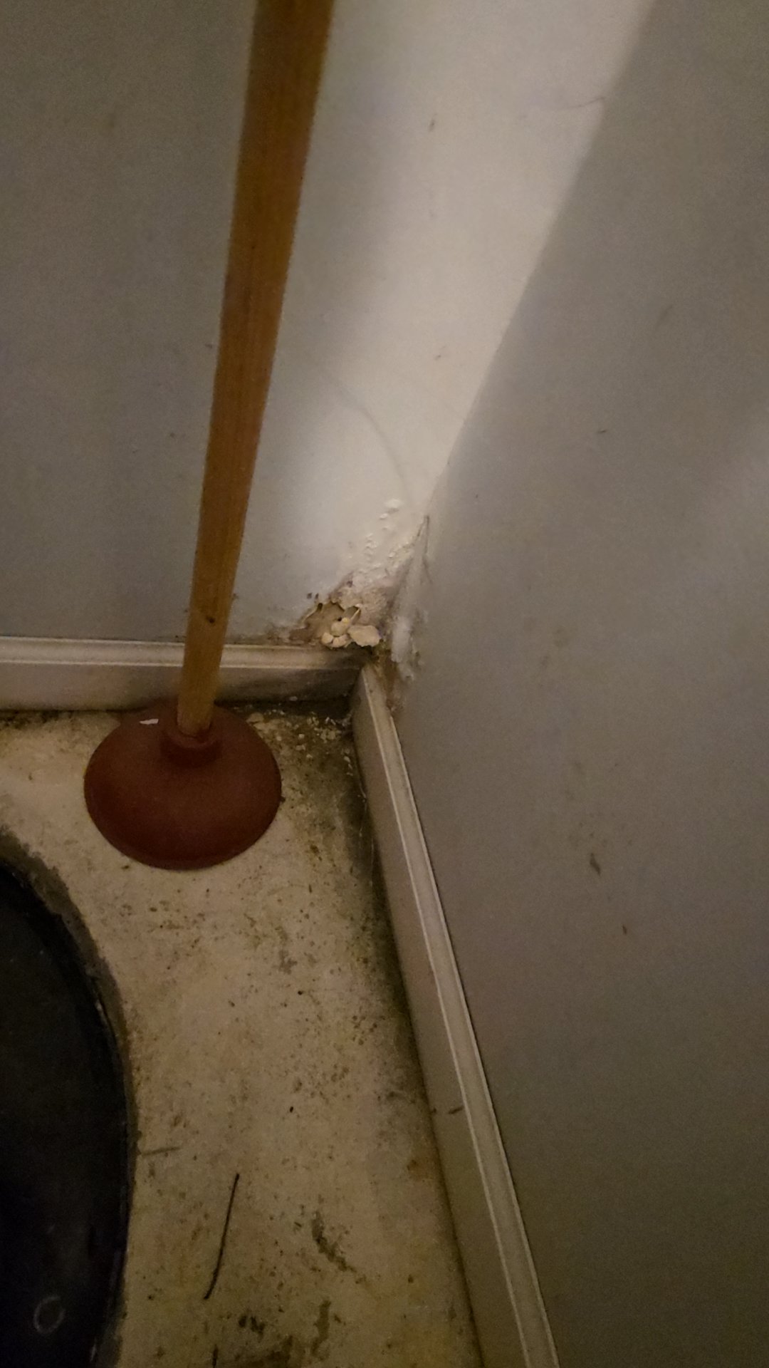 Water Damage Restoration